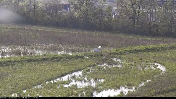 Cell 2 to 3_24-05-03_18-41-41-44