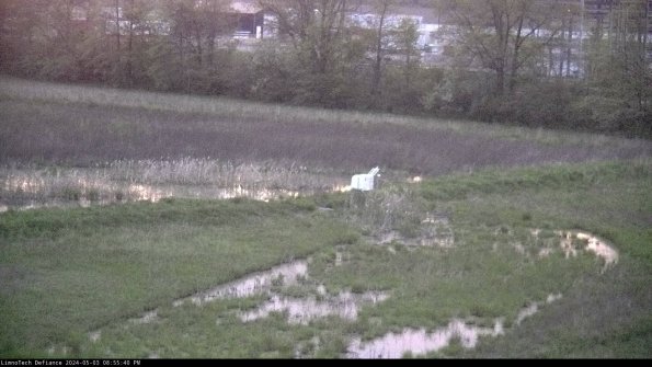 Cell 2 to 3_24-05-03_20-55-40-51