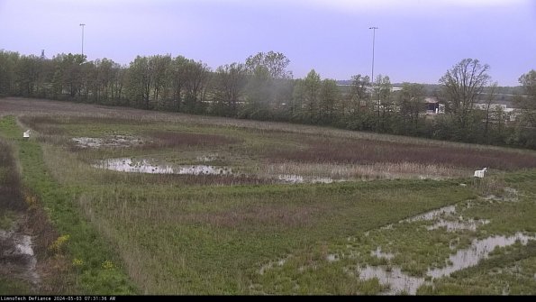 Cell 2_24-05-03_07-31-37-35