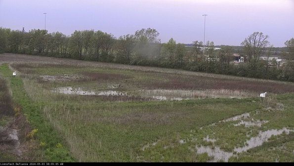 Cell 2_24-05-03_08-05-06-34