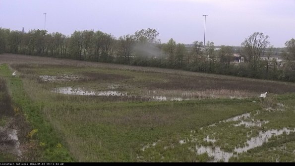 Cell 2_24-05-03_09-12-05-34