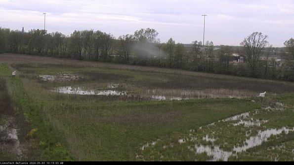 Cell 2_24-05-03_10-19-04-38