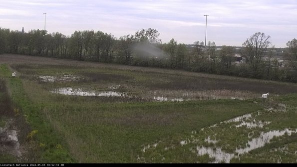 Cell 2_24-05-03_10-52-33-33