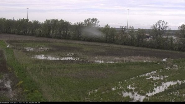 Cell 2_24-05-03_13-40-00-34