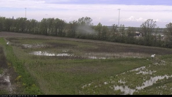 Cell 2_24-05-03_14-13-30-36