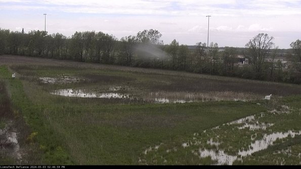 Cell 2_24-05-03_14-47-00-35