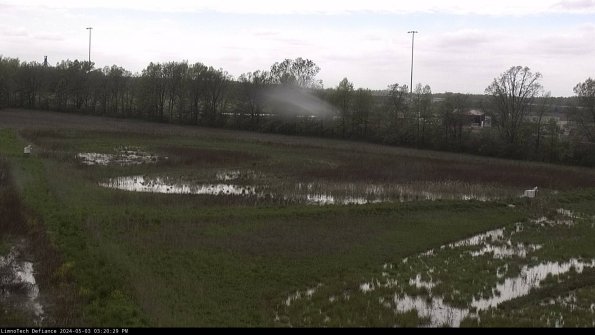 Cell 2_24-05-03_15-20-30-37