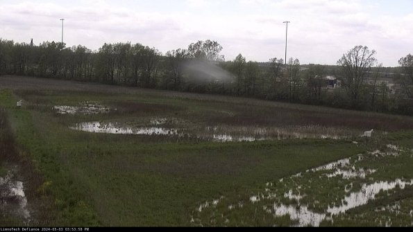 Cell 2_24-05-03_15-53-59-36