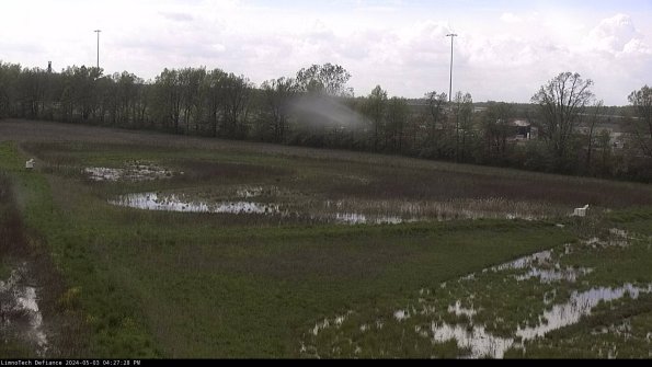 Cell 2_24-05-03_16-27-29-38