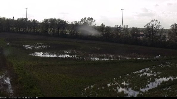 Cell 2_24-05-03_17-34-28-42