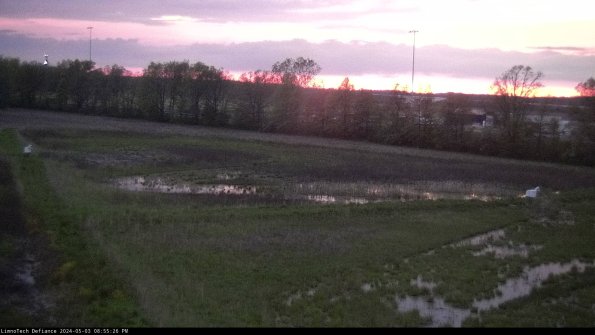 Cell 2_24-05-03_20-55-27-40