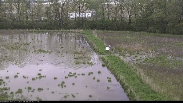 Cell 3 to 4_24-05-03_08-05-47-32