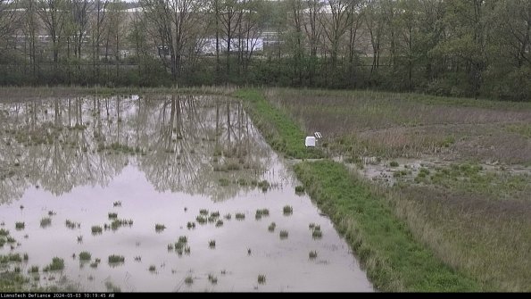 Cell 3 to 4_24-05-03_10-19-46-35