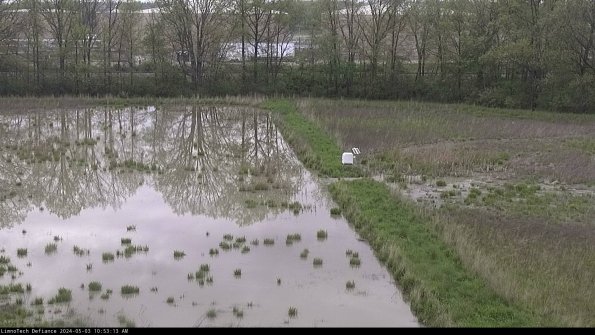 Cell 3 to 4_24-05-03_10-53-14-34