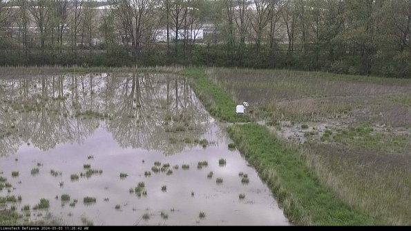 Cell 3 to 4_24-05-03_11-26-43-34