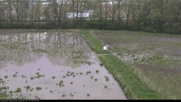 Cell 3 to 4_24-05-03_12-33-43-31