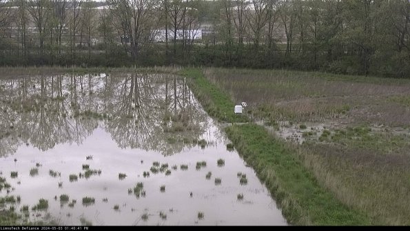 Cell 3 to 4_24-05-03_13-40-42-32