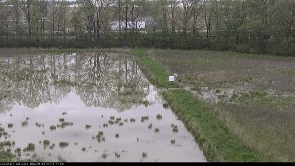 Cell 3 to 4_24-05-03_14-14-12-34