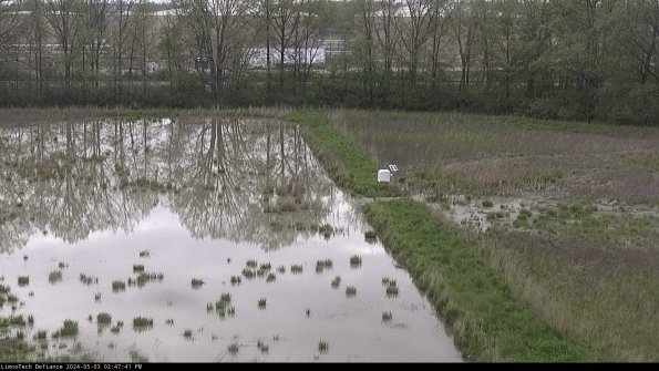 Cell 3 to 4_24-05-03_14-47-42-32