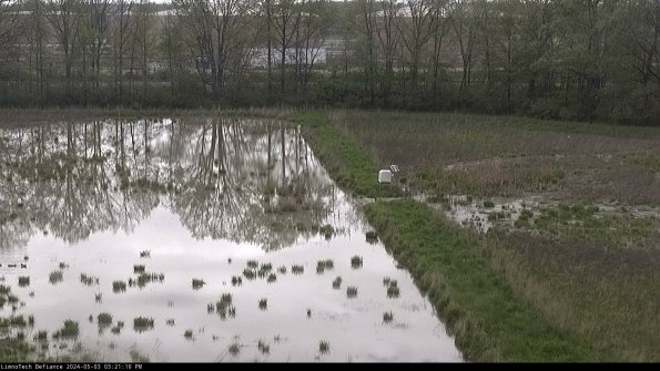 Cell 3 to 4_24-05-03_15-21-11-31