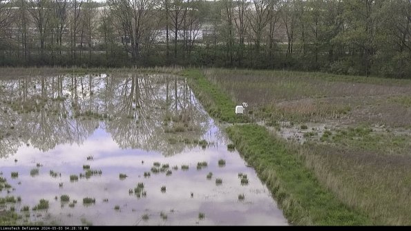 Cell 3 to 4_24-05-03_16-28-11-35