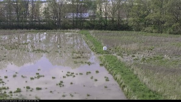 Cell 3 to 4_24-05-03_17-01-41-34