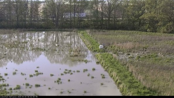 Cell 3 to 4_24-05-03_18-42-10-37