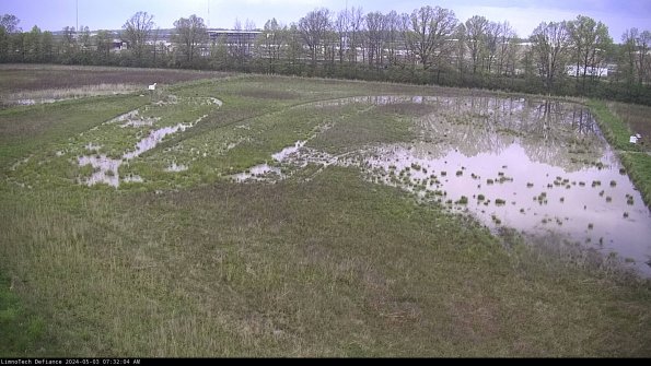 Cell 3_24-05-03_07-32-05-31