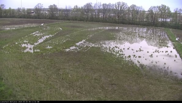 Cell 3_24-05-03_09-12-33-34