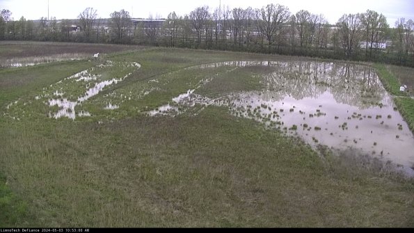 Cell 3_24-05-03_10-53-00-59