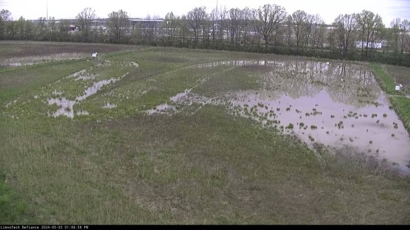 Cell 3_24-05-03_13-06-59-35