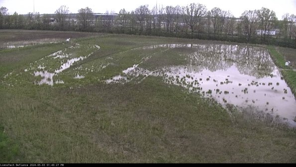 Cell 3_24-05-03_13-40-28-33