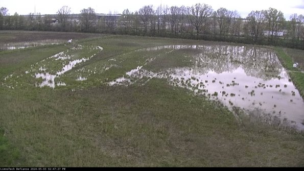 Cell 3_24-05-03_14-47-28-34