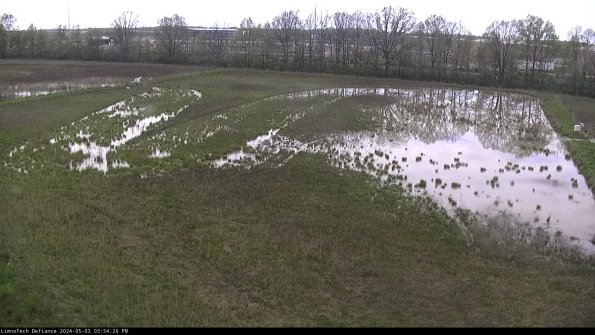 Cell 3_24-05-03_15-54-27-35