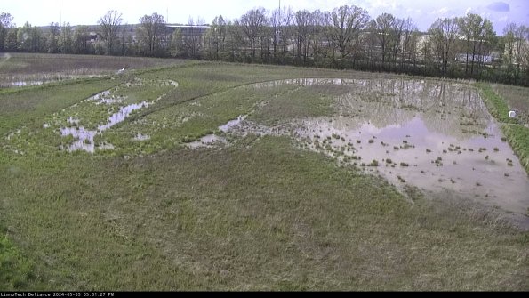 Cell 3_24-05-03_17-01-27-53