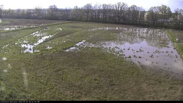 Cell 3_24-05-03_18-41-56-35