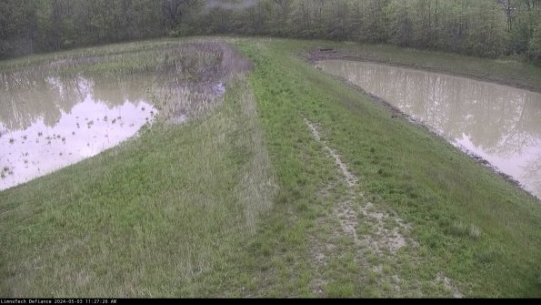 Cell 4 to Basin_24-05-03_11-27-27-35