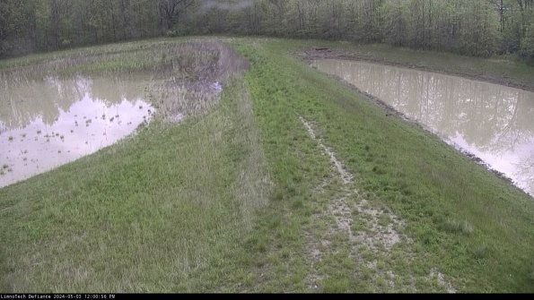 Cell 4 to Basin_24-05-03_12-00-57-33