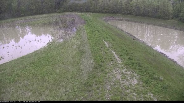 Cell 4 to Basin_24-05-03_12-34-27-35