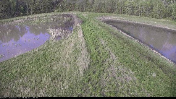 Cell 4 to Basin_24-05-03_18-42-54-34