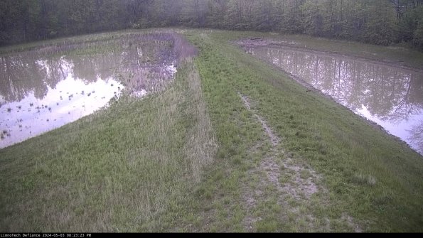 Cell 4 to Basin_24-05-03_20-23-24-34