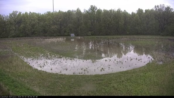 Cell 4_24-05-03_08-06-01-33