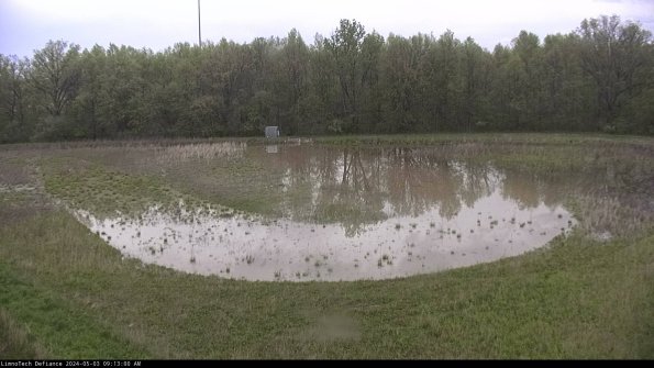 Cell 4_24-05-03_09-13-01-33