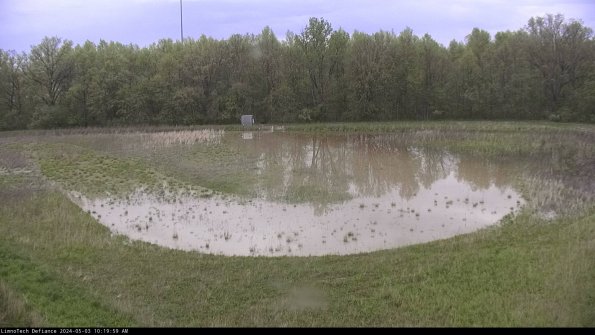 Cell 4_24-05-03_10-20-00-33