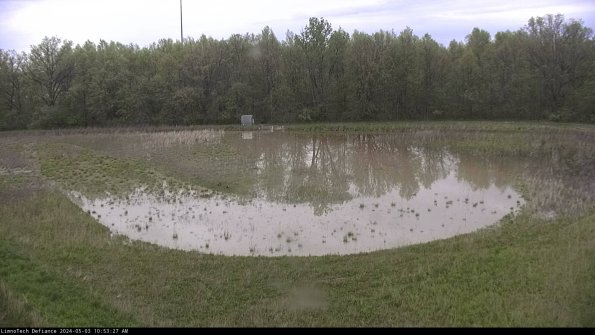 Cell 4_24-05-03_10-53-28-32