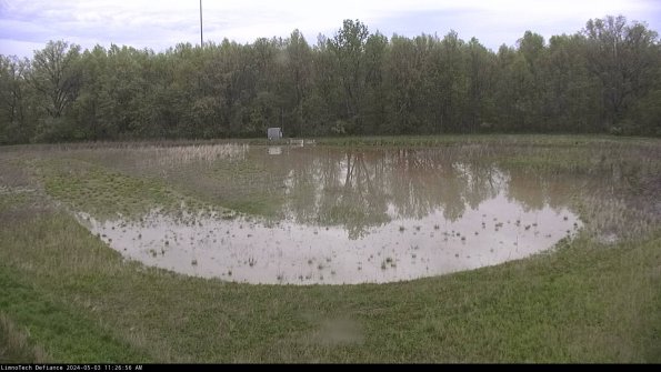 Cell 4_24-05-03_11-26-57-32