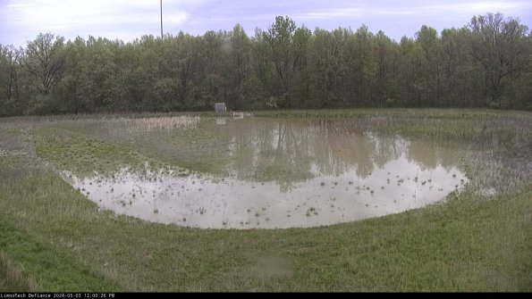 Cell 4_24-05-03_12-00-27-33