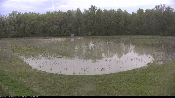 Cell 4_24-05-03_12-33-57-32