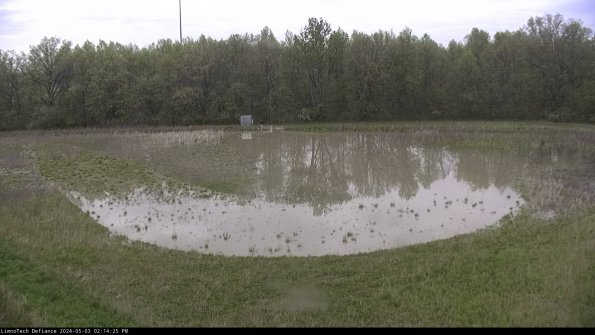 Cell 4_24-05-03_14-14-26-35