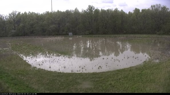 Cell 4_24-05-03_15-21-25-33